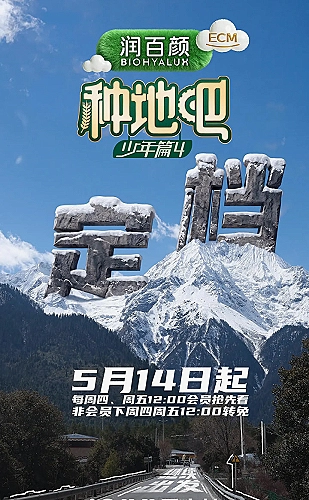 城市回声专题封面